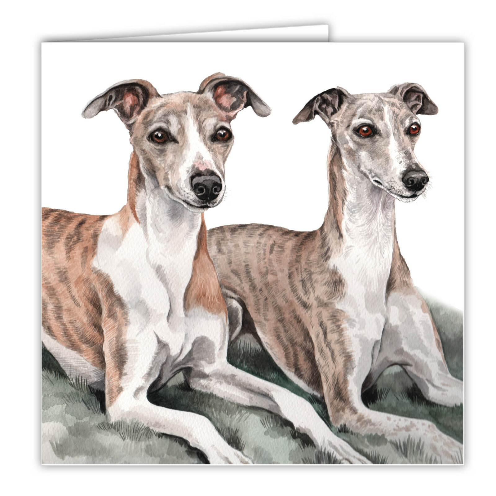 Whippet Pair greetings card dog blank card dogs Whippets WAGGYDOGZ cards pets