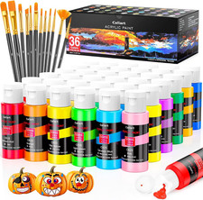 Acrylic Paint Set with 36 Colors and 12 Brushes for Canvas Rock Wood Crafts