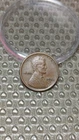 1921 S Lincoln Wheat Cent Penny XF                                          D212