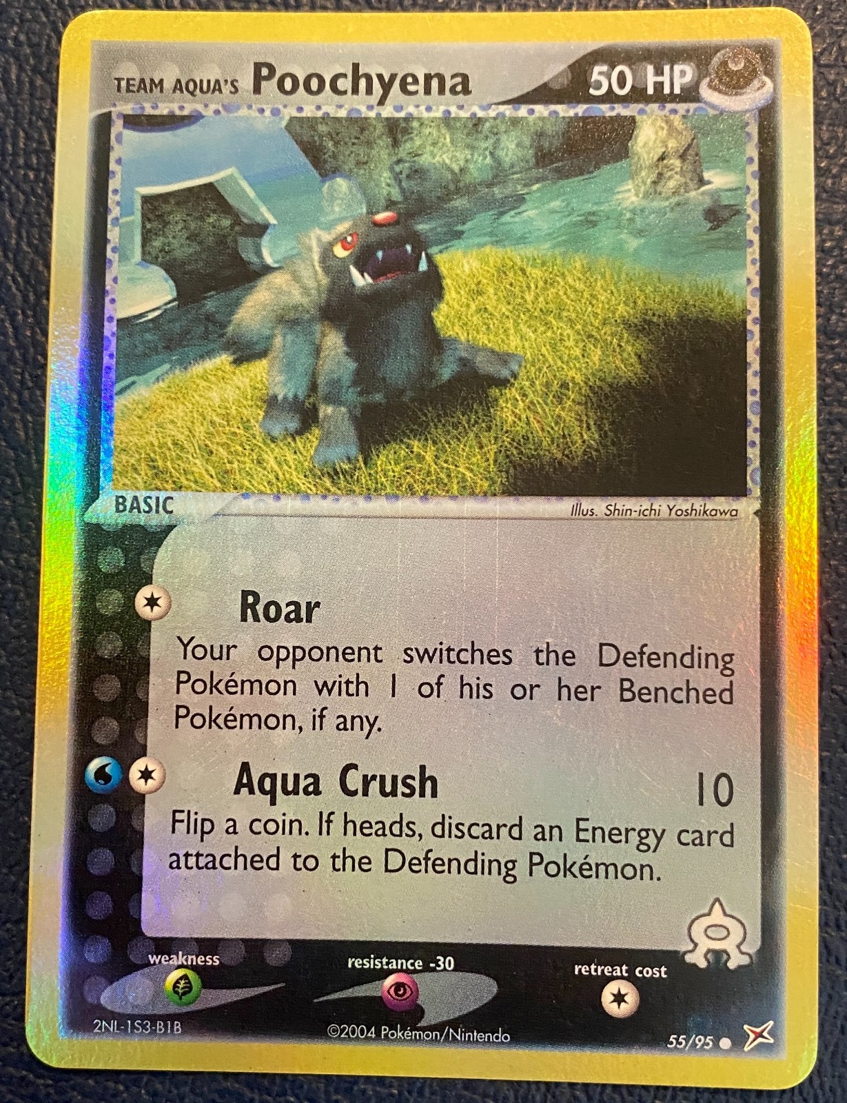 Team Aqua's Poochyena 55/95 - EX Team Magma vs Team Aqua (2004) Reverse Holo NM