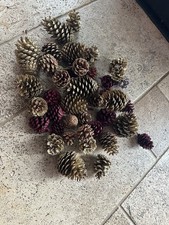 Selection Of Different Size Pine Cones- Perfect For Crafting