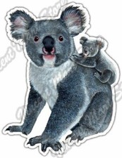 Koala Family Baby Outback Animal Wildlife Car Bumper Vinyl Sticker Decal 4"X5"