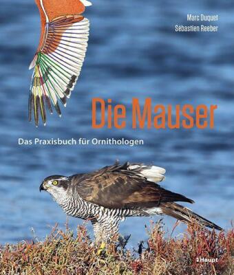 Die Mauser | Buch | 9783258082059