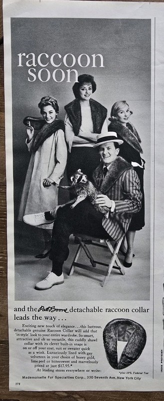 1959 Pat Boone Detachable fur raccoon collar Vintage fashion Ad 