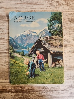 Norge Norway Mittet 100/067 Picture Tourist Souvenir Book