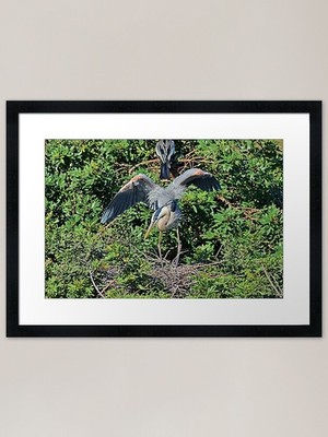 Reaktion Formation Gerahmter Kunstdruck Gerahmtes Wandbild Poster Leinwanddruck Bild