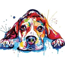 Paint By Numbers Adults kids Sleeping Dog Color DIY Painting Kit 40x50CM Canvas