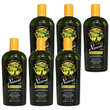 Fantasia IC Aloe Enriched Moisturizes Tea Tree Shampoo 12oz Itchy Scalp- 6 Pack
