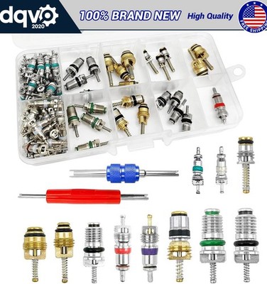 102PCS Car R134a R12 Air Conditioning AC A/C Valve Stem Cores + Remover Tool Kit