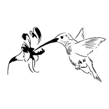 HUMMINGBIRD Unmounted bird rubber stamp, summer, Sweet Grass Stamps #9