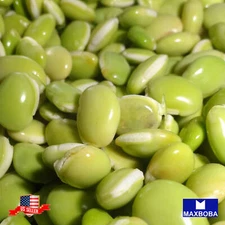 Broad Windsor Fava Bean Seeds Cover Crop Non-GMO Heirloom