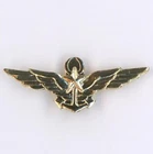 Naval Aircraft Pin's