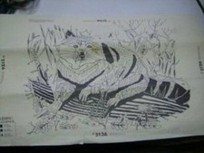 Artex Black Velveteen Raccoon Picture #2126 To Paint-16x20 inches