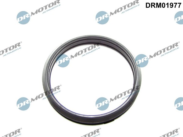 Dr.Motor Automotive DRM01977 Dichtungsring, Ladeluftschlauch FüR Alpina, BMW-image