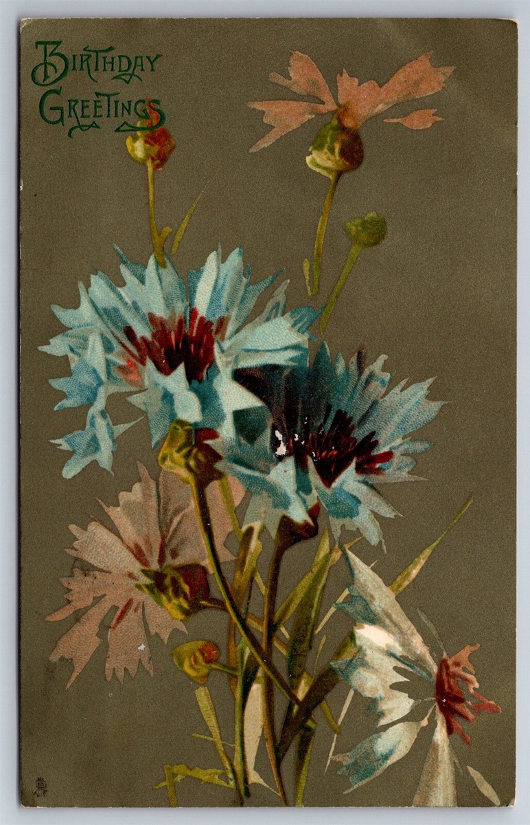 Birthday Greetings Tucks Art Series no 6125 Corn Flowers C1907 DB