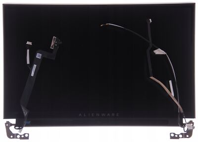 DELL Alienware Bereich-51m FHD NTS AB die Klappe