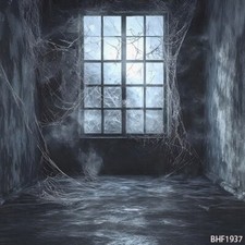 10'x10' Computer-painted Haunted Spider Web Scenic Background Backdrop BHF1937