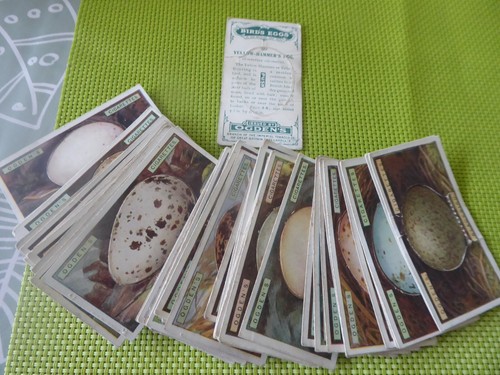 A FULL SET OF OGDENS CIGARETTE CARDS - BIRDS EGGS