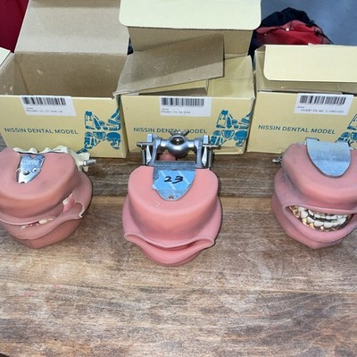 3 Nissin Typodont Dental Model for Dentistry Training