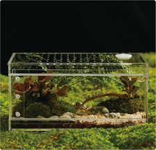Acrylic Terrarium for Reptiles Spiders Small/Medium/Large Leak-Proof Enclosu