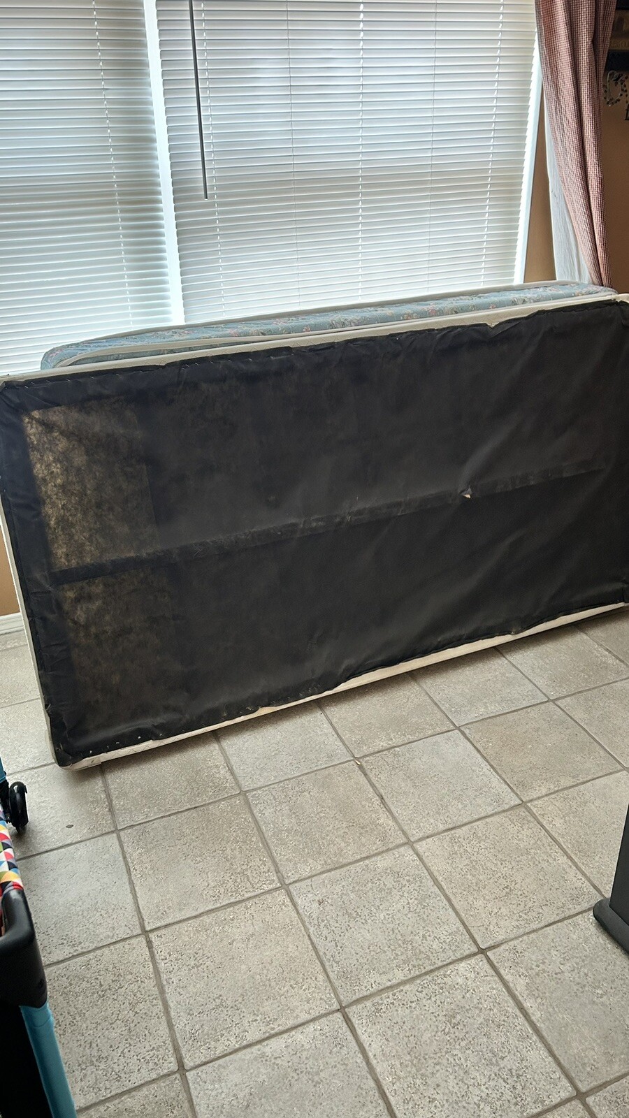 twin mattress and box spring eBay