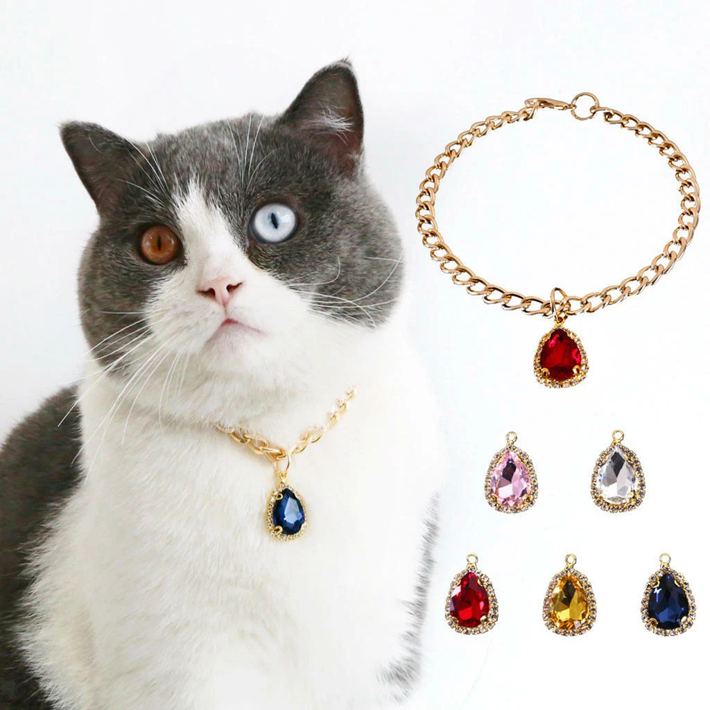 Cat hotsell collar charm