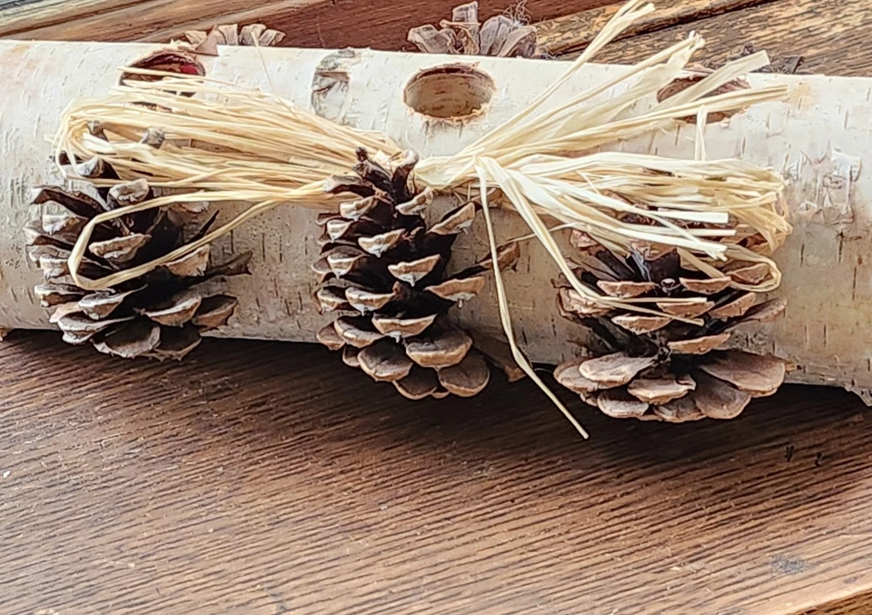 Rustic Birch Log Winter Centerpiece with Pinecones and Tapered Candles Handmade - Image 3 of 4