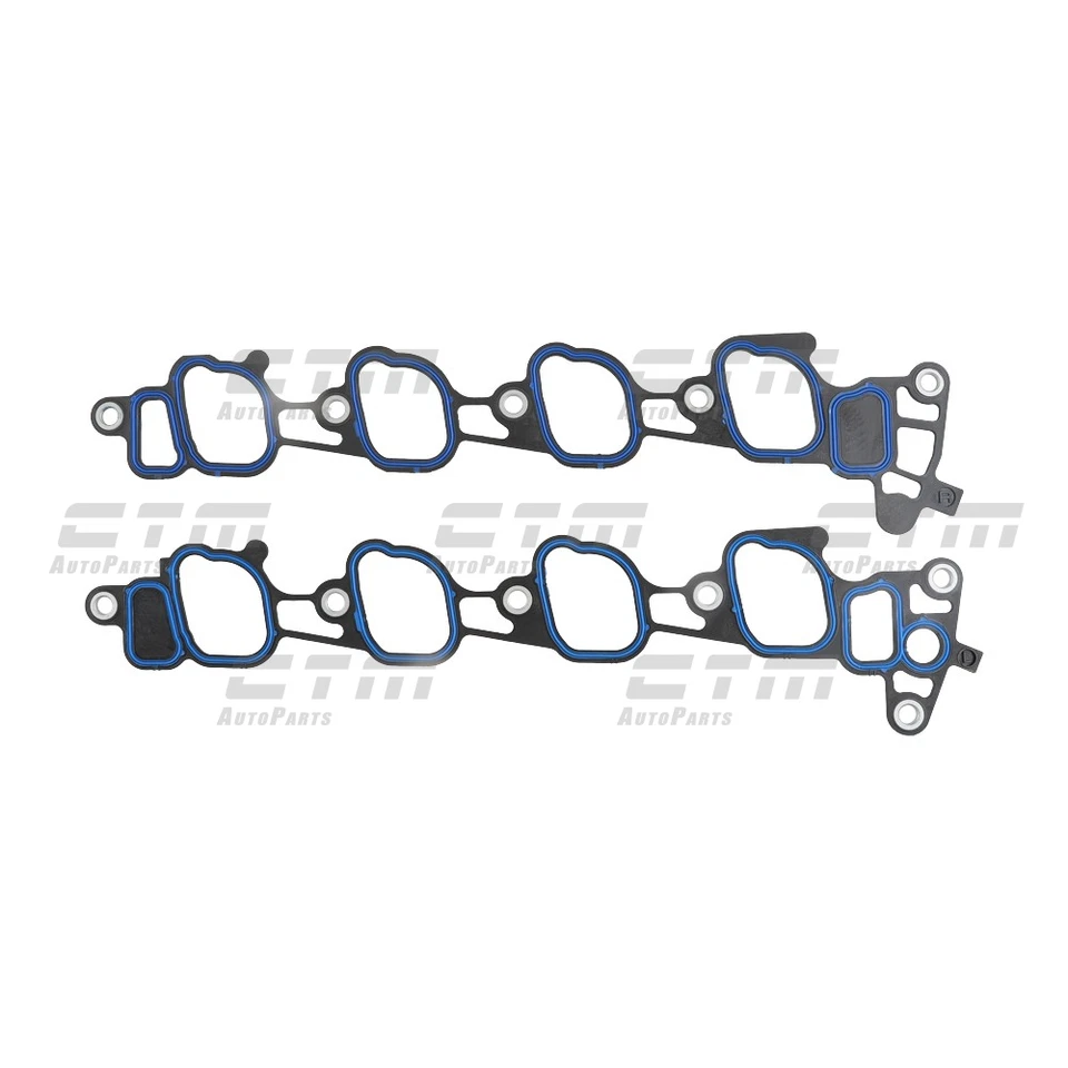 Head Gasket Set Fit 2009-2014 Ford E-150 E-250 E-350 Super Duty 5.4L SOHC V8 16V Foto 4 de 4