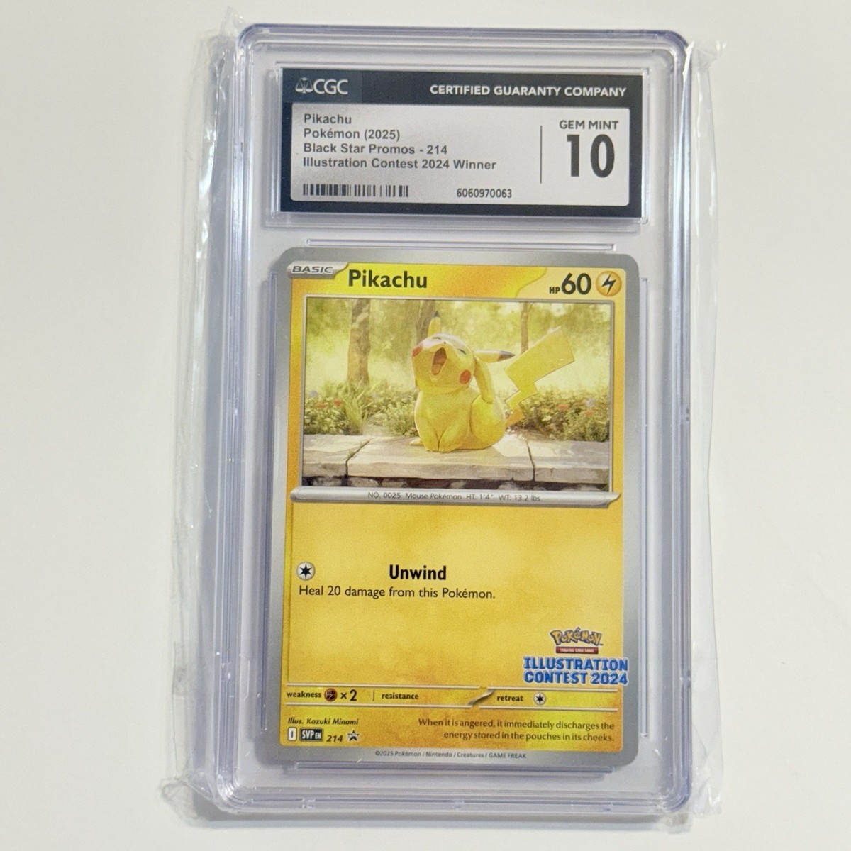 2025 😺 Pikachu 214 Black Star Promo Illustration Contest 2024