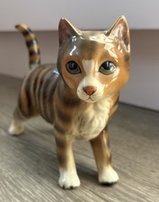 COOPERCRAFT  BROWN TABBY  CAT