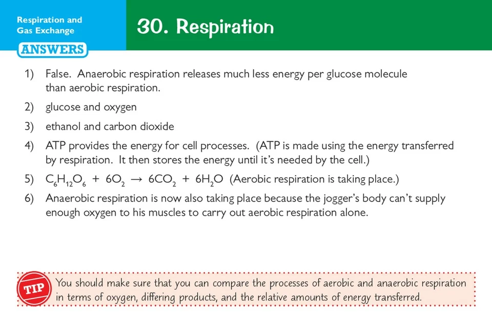 GCSE Edexcel International Triple Science Revision Question Cards Key Stage 4 - Image 3 of 4