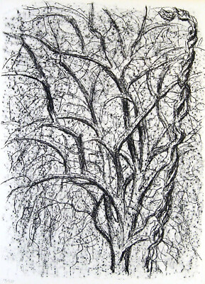 Gerhard Marcks 1889 Berlin/Spring in the Apple Tree/Graphic, Autographed/1972