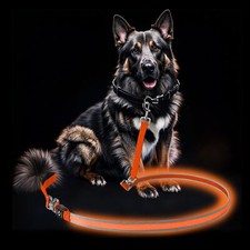 LED Dog Leash - Rechargeable Waterproof  Reflective 6FT Tangle-Free for Nigh...