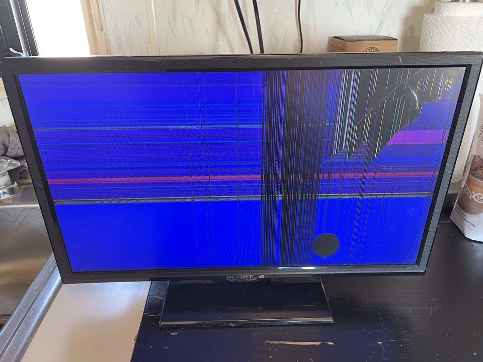 Sceptre E19 19" TV/Computer Monitor Black  -Partially Works, For Parts/Repair - Image 4 of 4