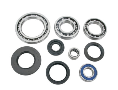 Polaris Worker 500 4x4 ATV Front Differential Bearing Kit 1999