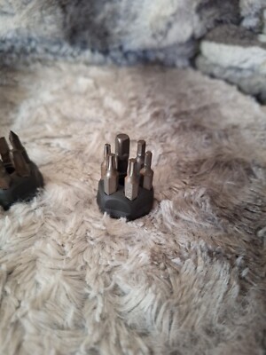 Set of torx  1/4'' bits in rubber container And Set Of Phillips Heads 