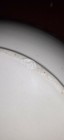 RARE!   William Goebel Bowl Plate  Wall Hanging Ceramic Rooster Serrated Edge 27 — photo 3