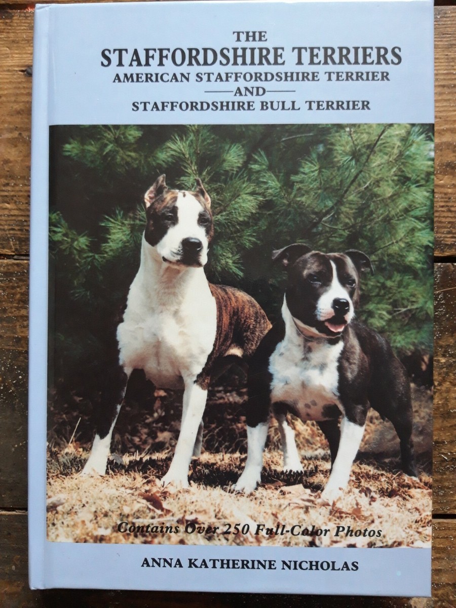 American Staffy Dog Breed English Staffordshire Bull Terrier Price