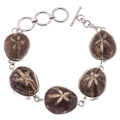 925 Silber Madagaskar Fossil Sand Dollar Sterling verstellbares Armband, 6,5-7,5''