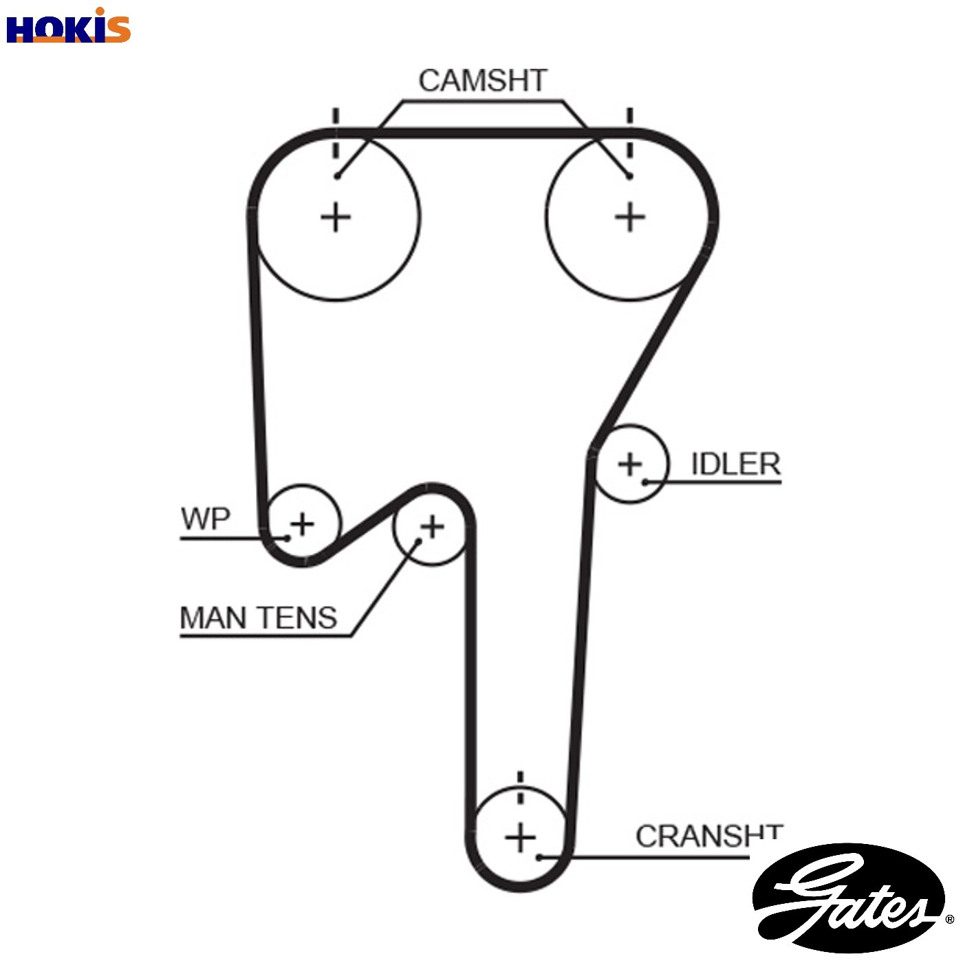 ✅Fits GATES 5553XS TIMING BELT ⭐UK Seller⭐ - Image 10