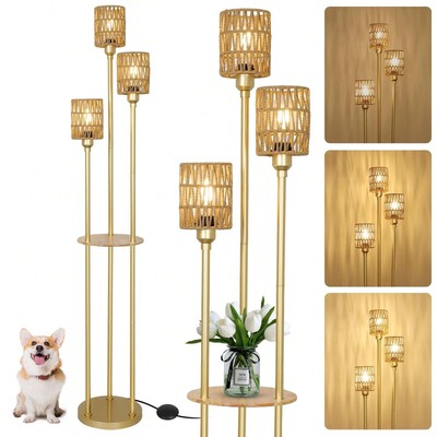 Dimmable Boho Floor Lamps For Living Room, 3-Lights Farmhouse -Free shipping