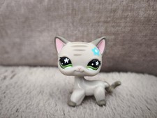 AUTHENTIQUE LPS LITTLEST Petshop HASBRO - Chat européen  #483