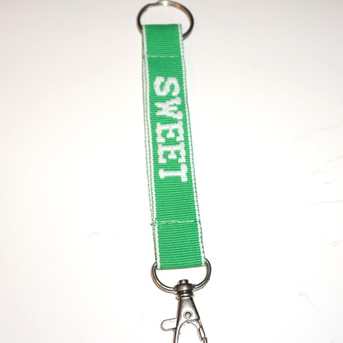 Key Chain Embroidered Lanyard Ring Clasp Choose Name or Fun Phrase 6" Colorful - 第 173/205 張圖片