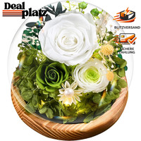 Ewige Infinity Rosen Im Glas Mit Licht – Geschenk FüR Frauen, Deko