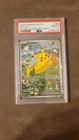 Pokémon PSA 8 Pikachu SVP #088 Scarlet & Violet Promo Cards 2024 English Holo