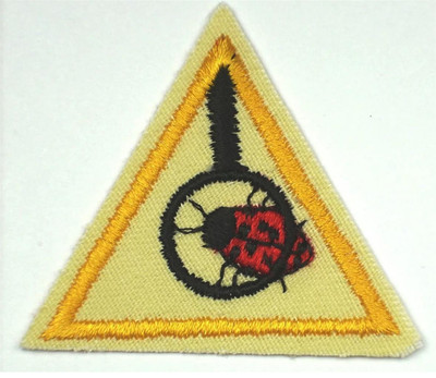 Girl Scouts Try-Its ECO EXPLORER Patch Badge #59184 Brownies Ladybug gold border