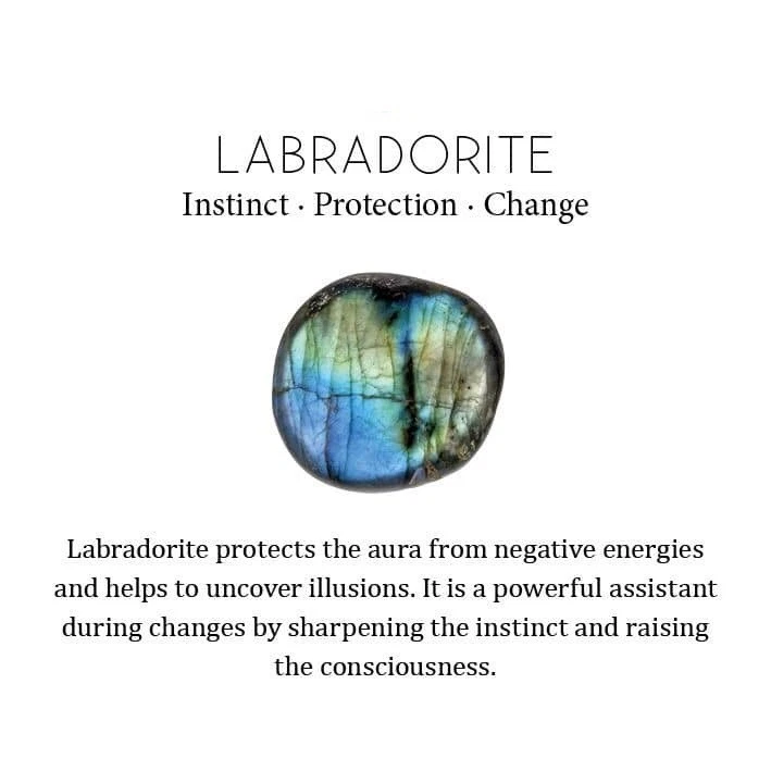 Oferta de Año Nuevo Labradorita Natural Hermana Pendientes Colgantes Plata de Ley Foto 4 de 4