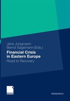 Jens Jungmann (U. A.) | Financial Crisis In Eastern Europe | Taschenbuch (2014)