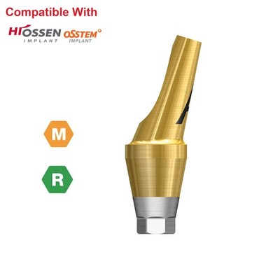 17° Angulated Angled Anatomic Abutment M/R Hex A/B Type Fit Hiossen Osstem TS