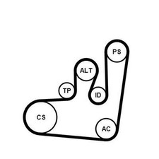 Continental ContiTech 6PK1145K1 Keilrippenriemensatz für VW GOLF III (1H1)